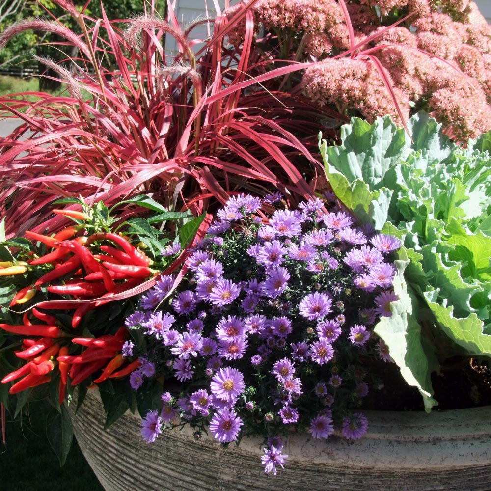 LaurelRock’s Garden & Property Manager, Colleen Kinyon, shares her favorite trends of the season!