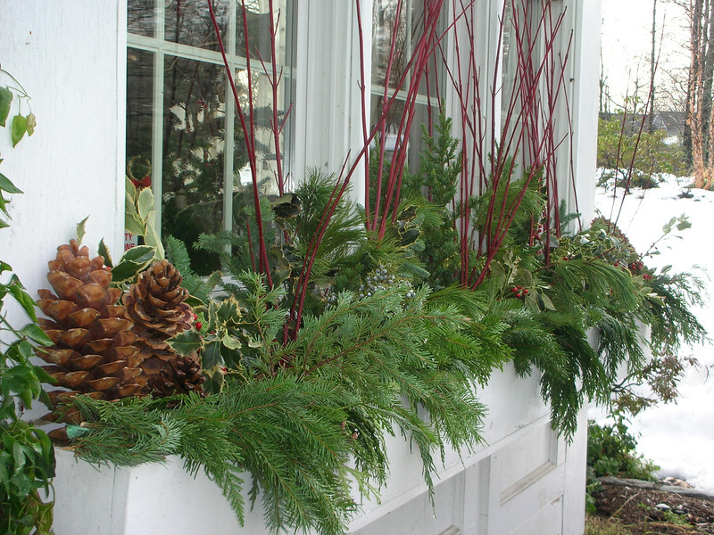 Christmas arrangement in window planter